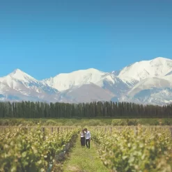 Private tour in 2 wineries in Valle de Uco Norte