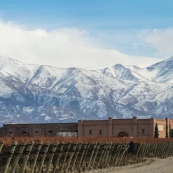 Tour privado en 3 bodegas del Valle de Uco Norte