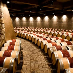 Private tour in 2 wineries in Luján de Cuyo or Maipú with premium tasting+.