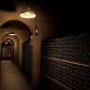 Adega de vinhos em Mendoza