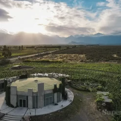 Private tour in 2 wineries in South Uco Valley