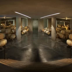 Private tour in 3 wineries in South Uco Valley