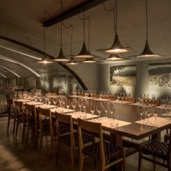 Tour privado en 2 bodegas icónicas del Valle de Uco Sur