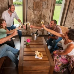 Private tour in 2 wineries in Luján de Cuyo and Maipú with lunch. Visit two wine regions