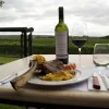 Private tour in 2 wineries in Luján de Cuyo and Maipú with lunch. Visit two wine regions