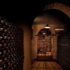 Private tour in 2 wineries uco valley mendoza