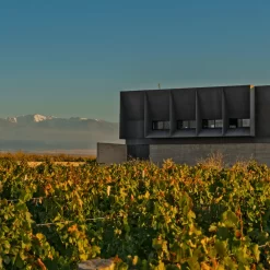 Excursión privada en 2 bodegas de Luján de Cuyo y Sur con almuerzo. Conocé dos regiones vitivinícolas