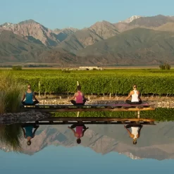 Meditation by a reflective pond overlooking vineyards and the Andes during the Yoga for Wine Lovers tour.