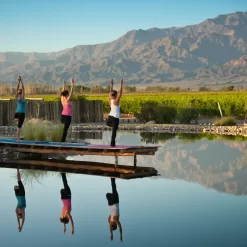 Yoga para los amantes del vino