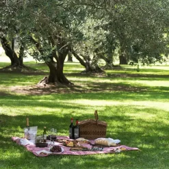 Picnic en los jardines de una bodega