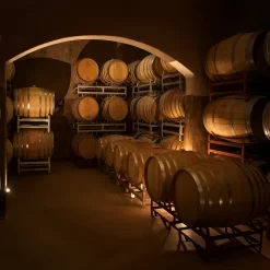 Tour de bodegas en bicicleta en Chacras de Coria con degustación premium+ - 2 bodegas