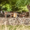 Tour de bodegas en bicicleta en Chacras de Coria con degustación premium+ - 2 bodegas