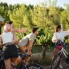 Passeio de bicicleta pelas vinícolas em Chacras de Coria com almoço e degustação premium+ - 3 vinícolas