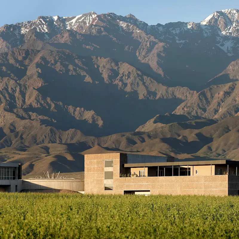 Cooking class at Bodega Diamandes winery in Valle de Uco Sur