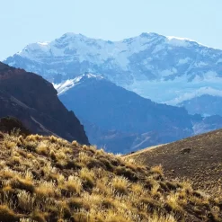 Small group tour to the high Andes up to Aconcagua viewpoint