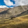 Dia no campo. Excursão particular à Estância Rancho é Cuero