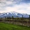 Country day. Private tour to Estancia Las Pircas