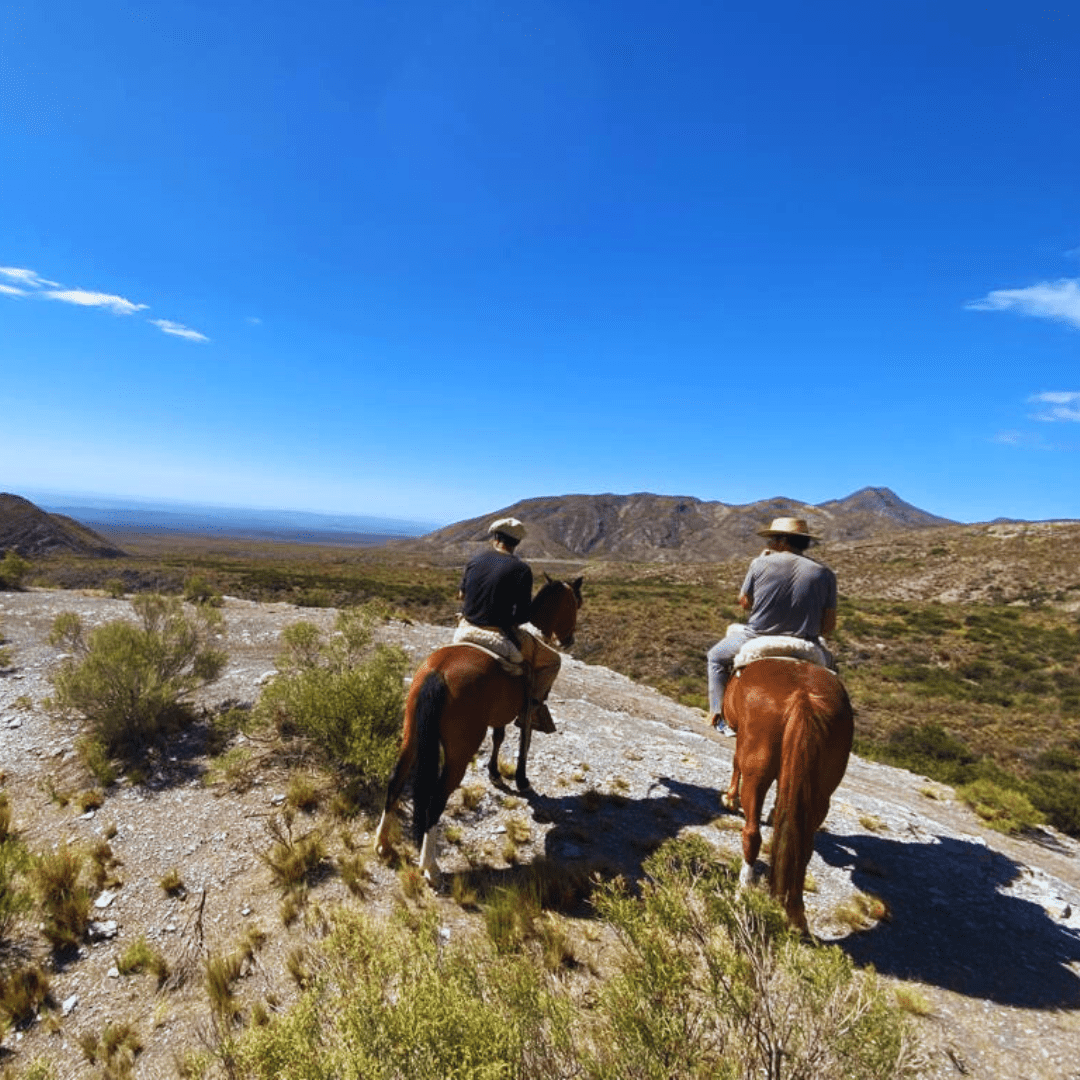 Country day. Private tour at Estancia San Ignacio