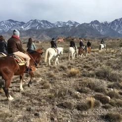 Sunset Horseback Riding with asado argentino