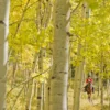 Horseback Riding Rancho Viejo with asado argentino