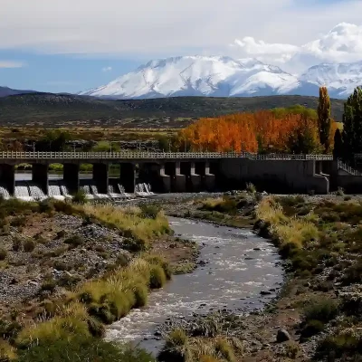 Autumn landscape in Uspallata with river, poplar trees, and snowy Andes peaks in the background.