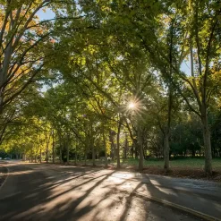 Excursión privada en bicicleta por la Ciudad de Mendoza y almuerzo en una bodega de Chacras de Coria