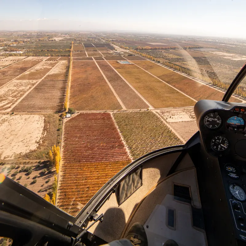 Vista aérea de los viñedos de Luján de Cuyo desde la cabina del helicóptero