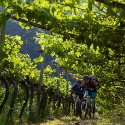 Passeio de bicicleta em Chacras de Coria