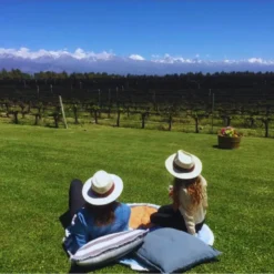 Dois hóspedes relaxando em um gramado com vista para os vinhedos da Andeluna e os Andes.