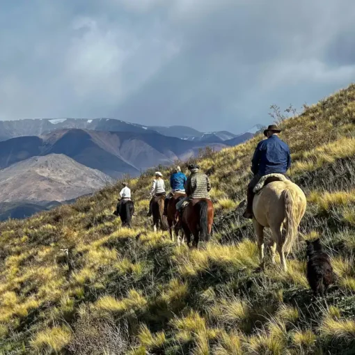 Día de campo en Estancia Vivacs del Plata