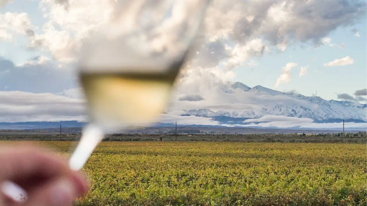 Mendoza Medio Día