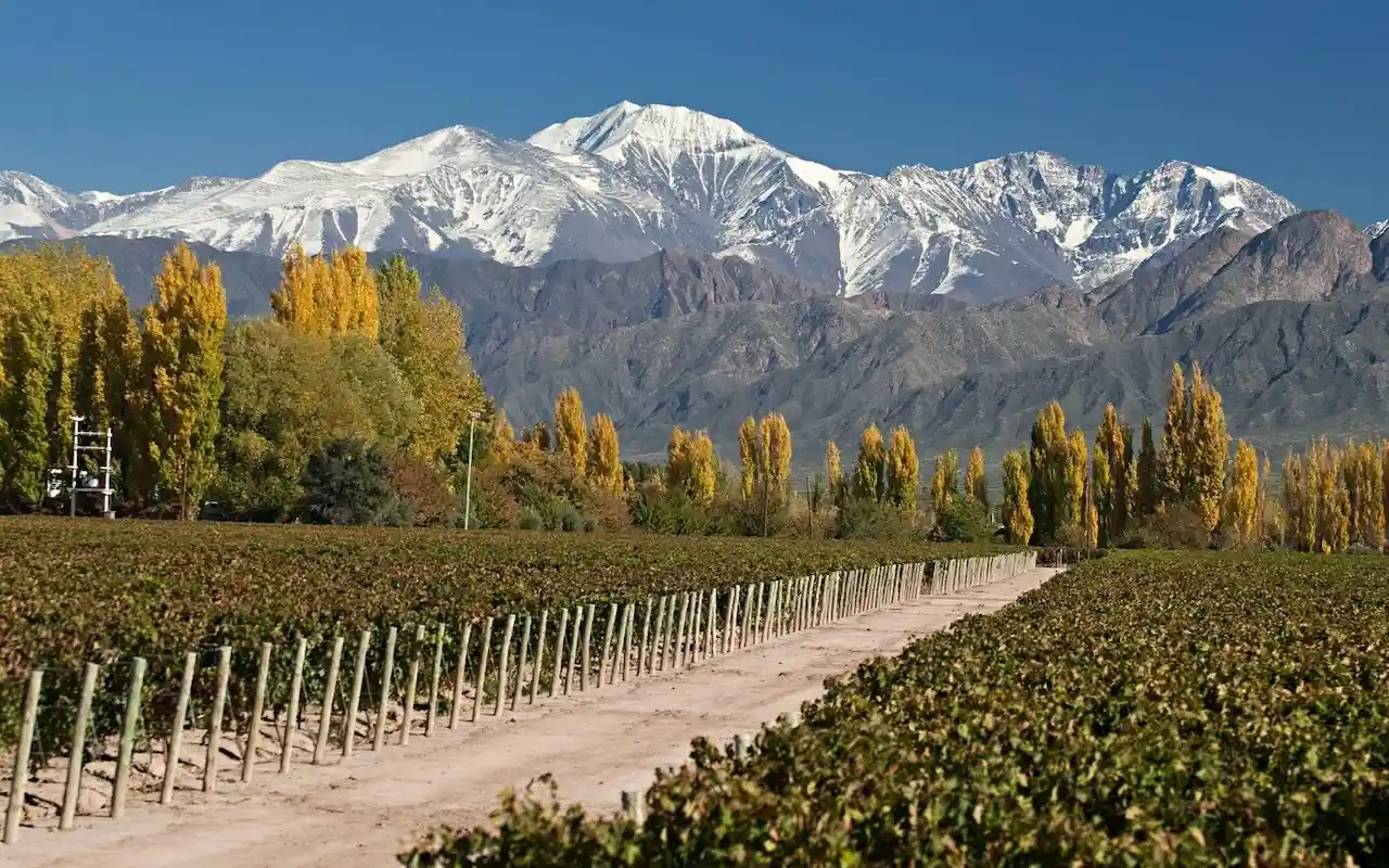 viajes a mendoza