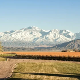 Andes nevados con vistas a los viñedos del Valle de Uco