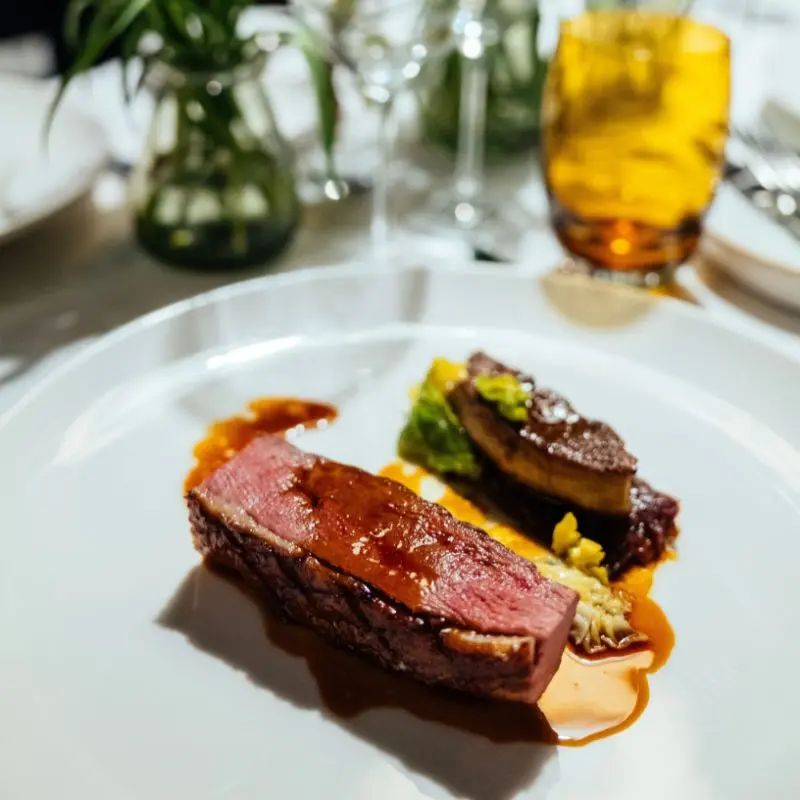 Gourmet dining in Mendoza's wine country