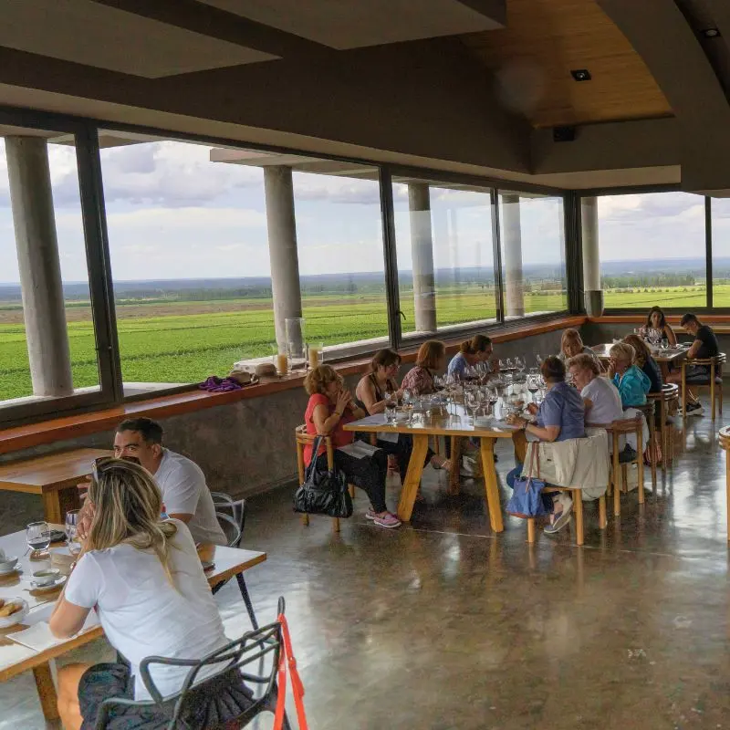 Almuerzo gourmet con vistas a los viñedos - una parte esencial de la experiencia del Valle de Uco.