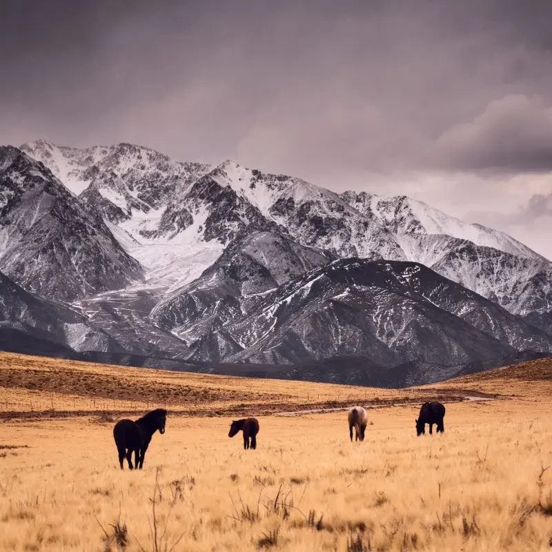 Horseback rides through wild landscapes and vineyard trails.
