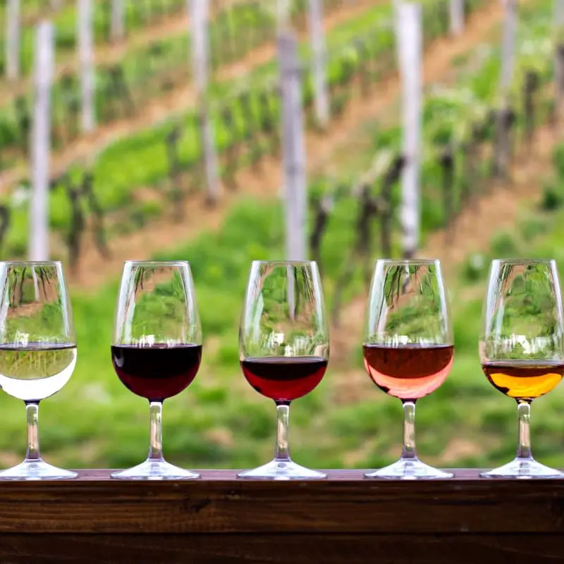 A guided tasting of varietals that capture the essence of Mendoza.