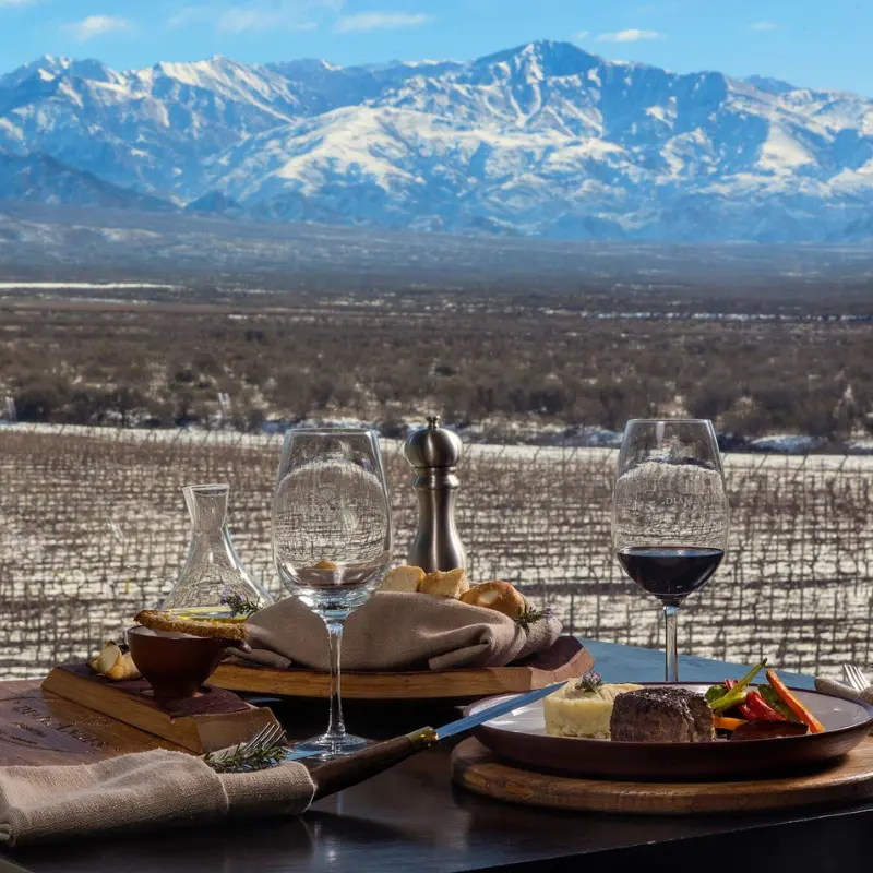 Gourmet lunch with panoramic views of the Andes
