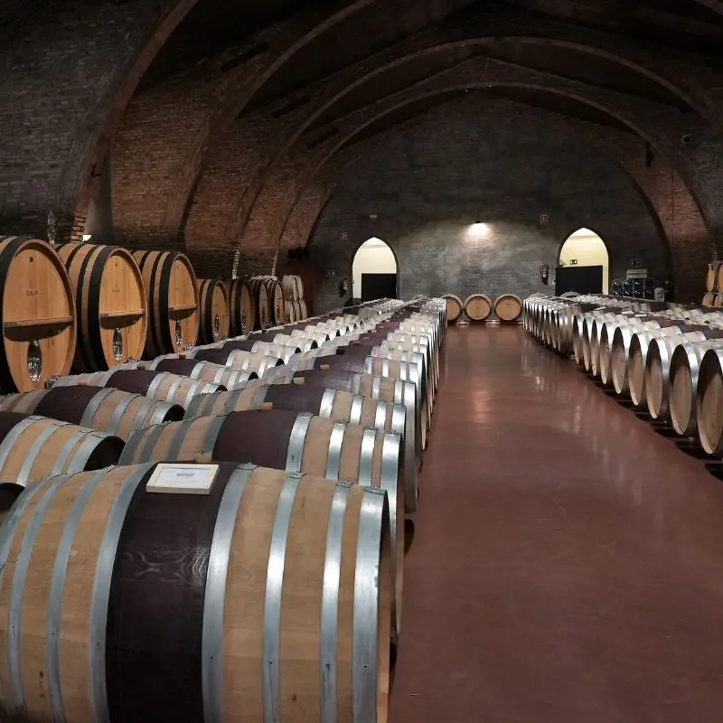 Aging barrels inside a traditional Mendoza wine cellar