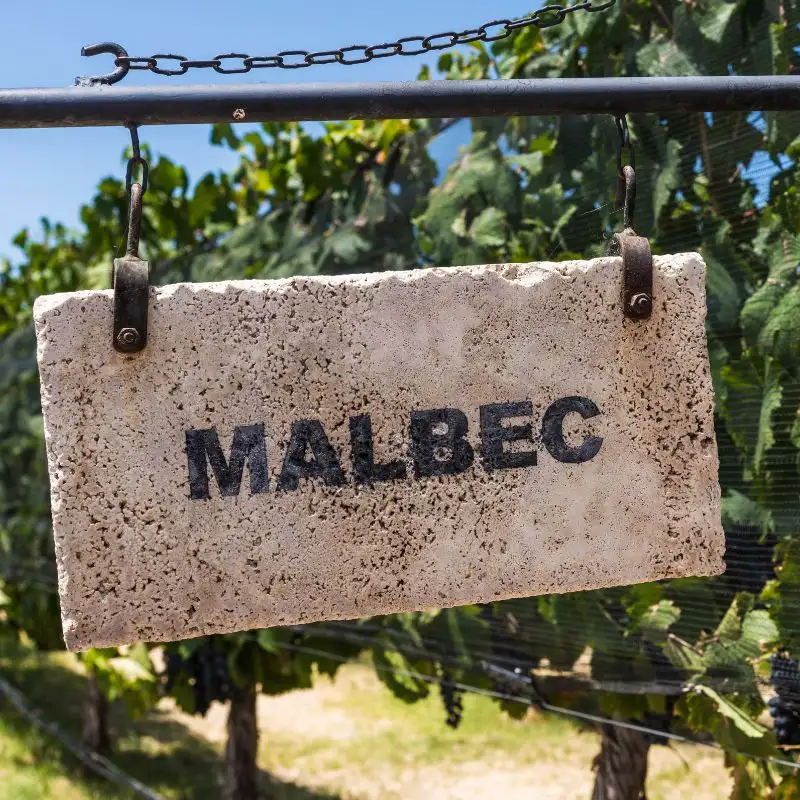 Where Malbec reigns—Luján de Cuyo is the birthplace of Argentina’s flagship varietal.