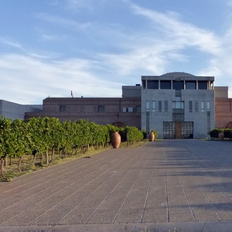Entrada clássica da vinícola cercada por vinhedos exuberantes