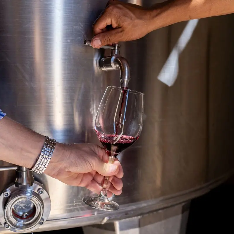 From tank to glass—tasting Malbec straight from the source during a winery tour.