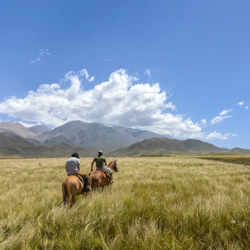 Horseback riding in the Andes foothills of Uco Valley