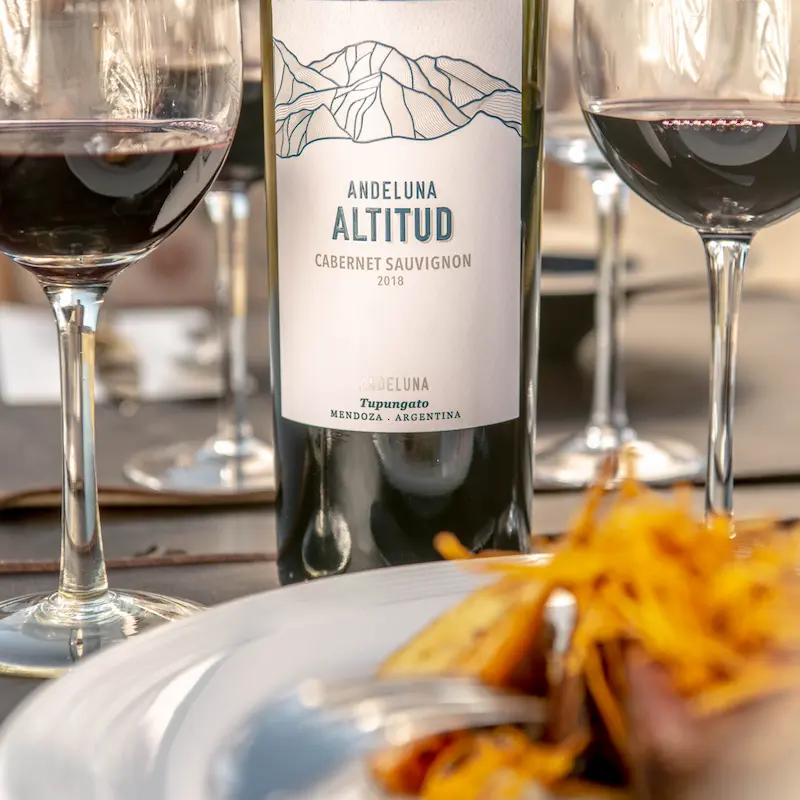 A bold high-altitude wine from Tupungato, served with seasonal dishes.