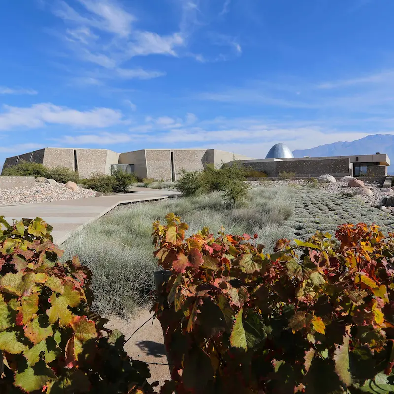 Zuccardi Valle de Uco: a winery that rises from the land it honors.
