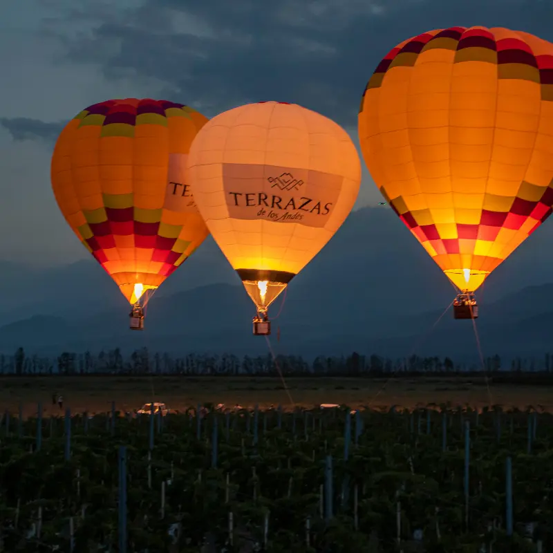 Balões de ar quente sobre Terrazas de los Andes Passeios panorâmicos de balão sobre os vinhedos ao amanhecer em Luján de Cuyo.