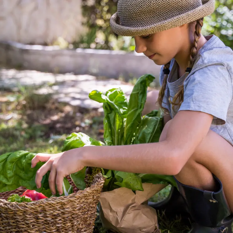 Harvesting fresh produce during a farm day in Mendoza.