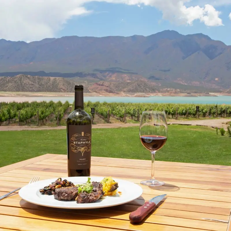Lunch with Malbec and mountain views at a Mendoza winery.