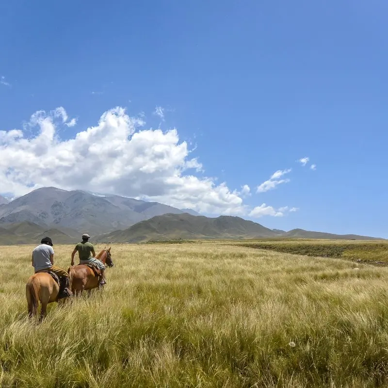 Passeios a cavalo nos campos dourados de Uspallata