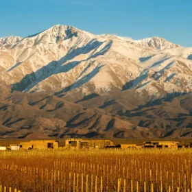 Los Andes nevados enmarcan los viñedos del Valle de Uco.